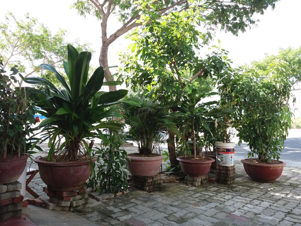 Thai Binh Motel ดานัง ภายนอก รูปภาพ
